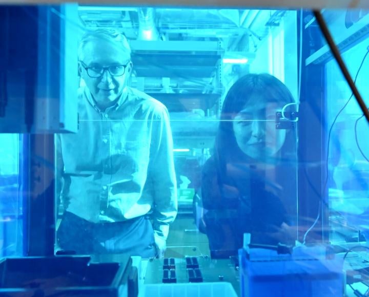 Two researchers look through a blue-tinted window 