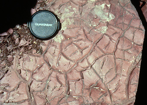 Image result for mud cracks
