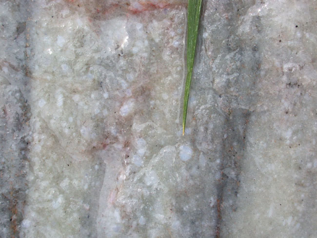 This is a quartzite. In a sedimentary rock, the grains would still be whole 