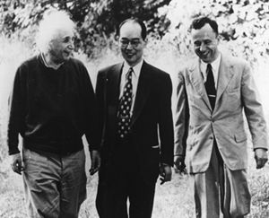 Wheeler with Yukawa and Einstein