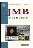 2006 JMB CENPE-MT cover small