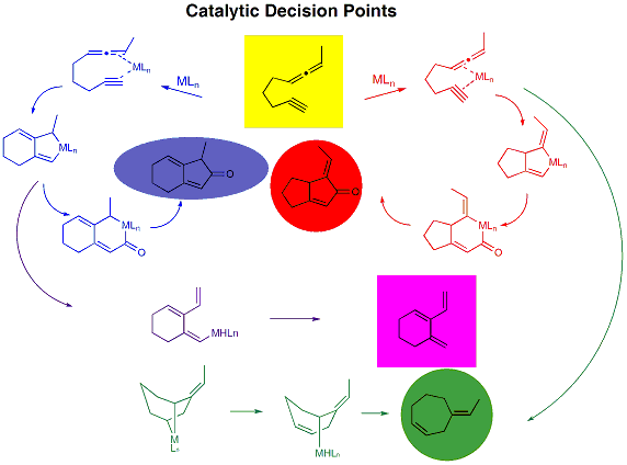 catalytic decisions