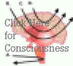 Consciousness Page