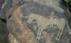  Petroglyph, Tamgaly, Kazakhstan. 