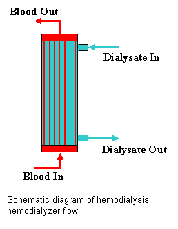 Text Box:  

Schematic diagram of hemodialysis hemodialyzer flow.

