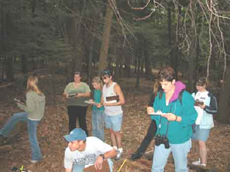 ecology class in old growth forest