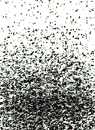 patho1.GIF (4185 bytes)