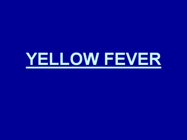 The yellow fever virus is