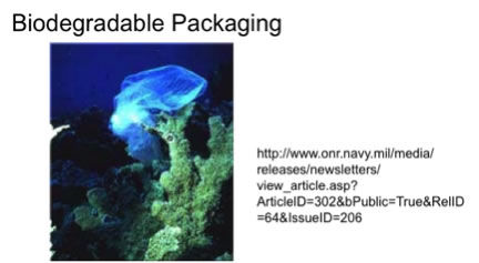 biodegradable packaging