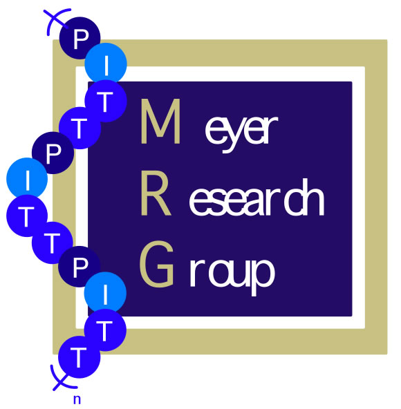 Meyer Research group