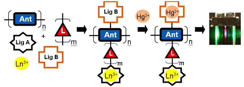 schematic for the modular approach to Hg2+ sensing