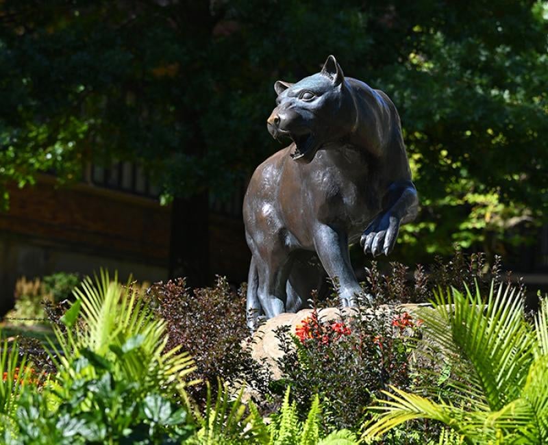 A Panther statue
