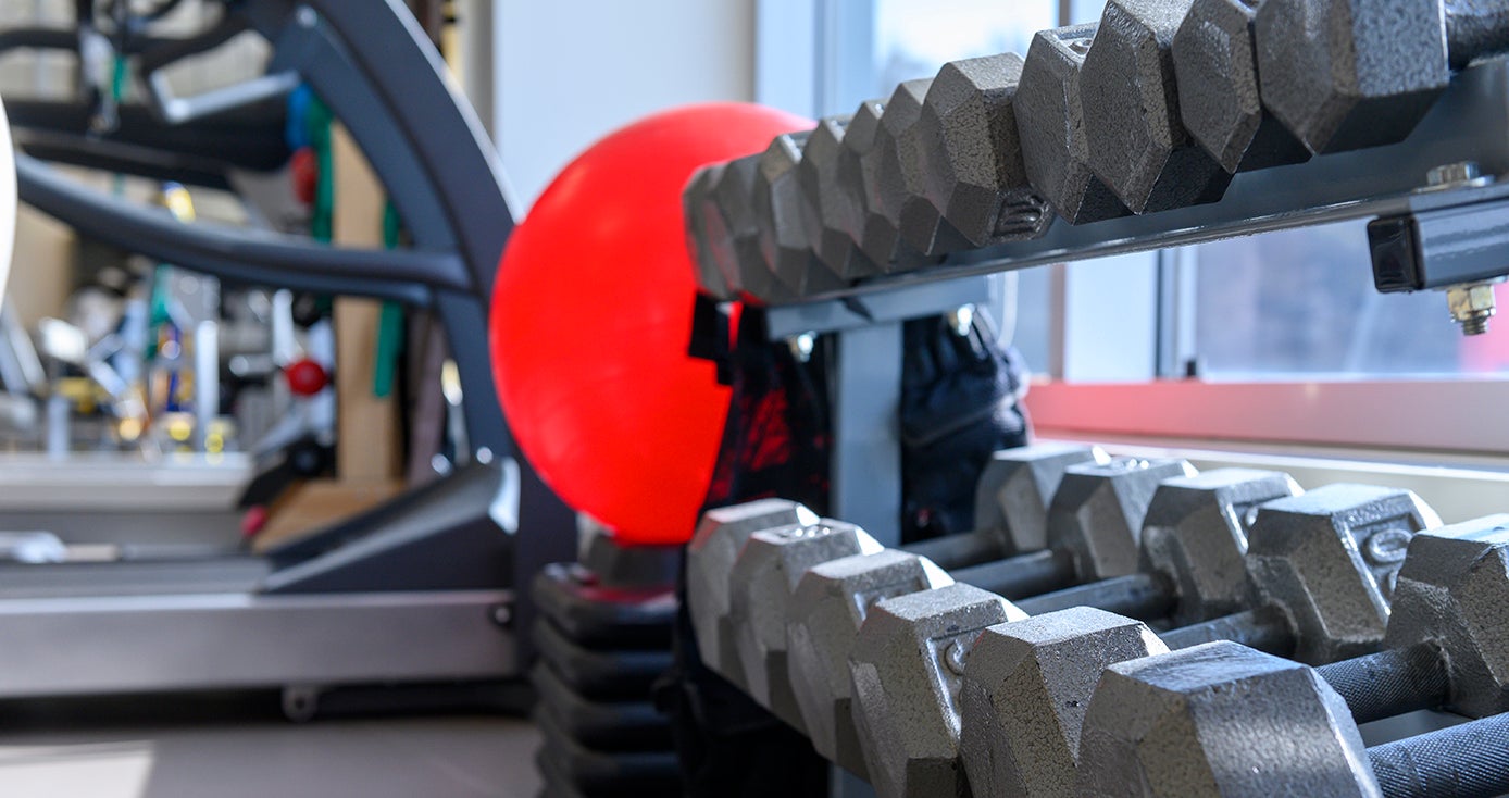 A rack of dumbbells next to a red exercise ball