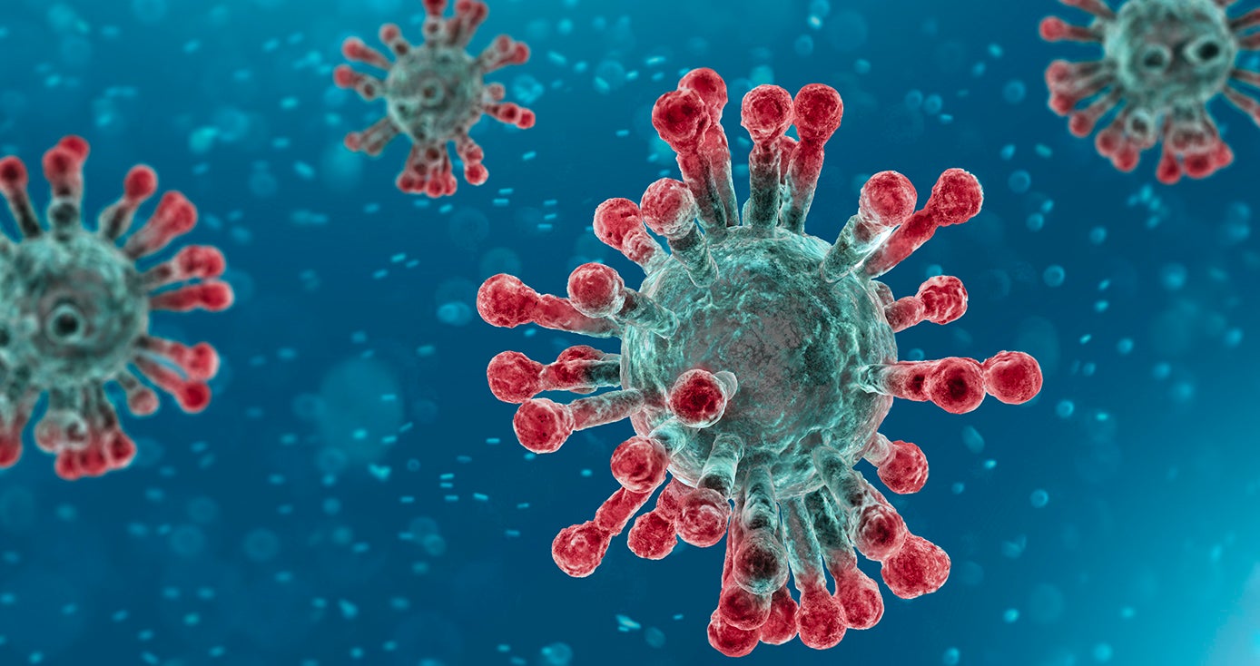 an image of the coronavirus