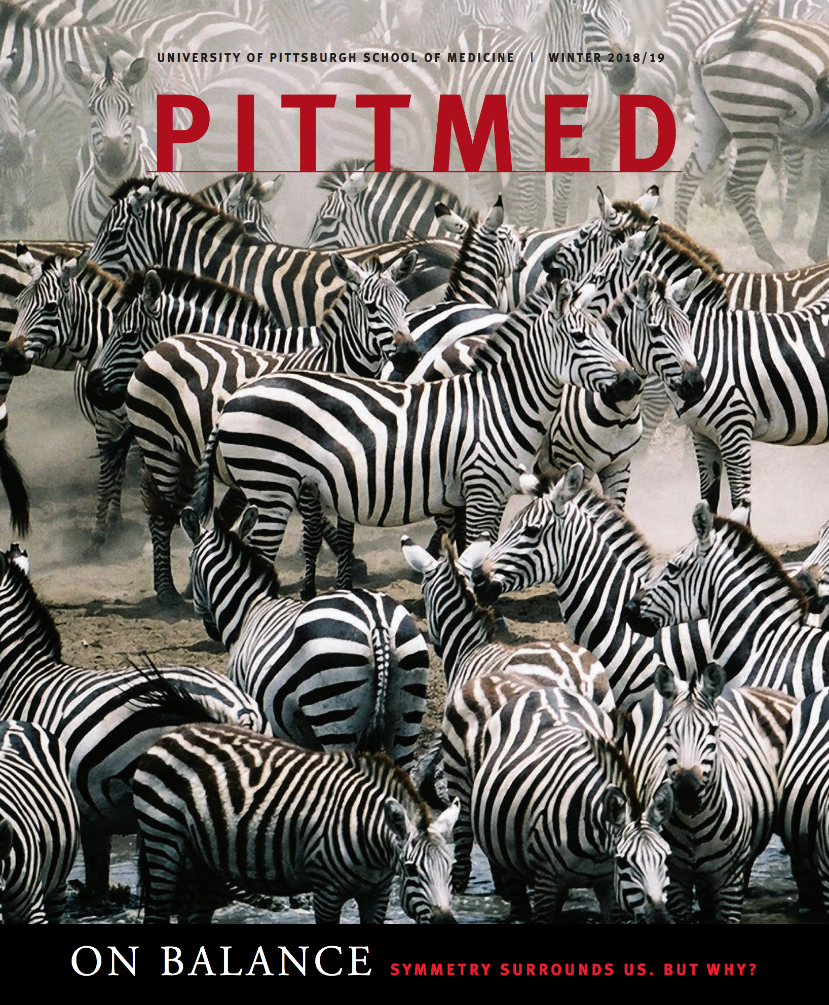cover of the issue, which has zebras in a group