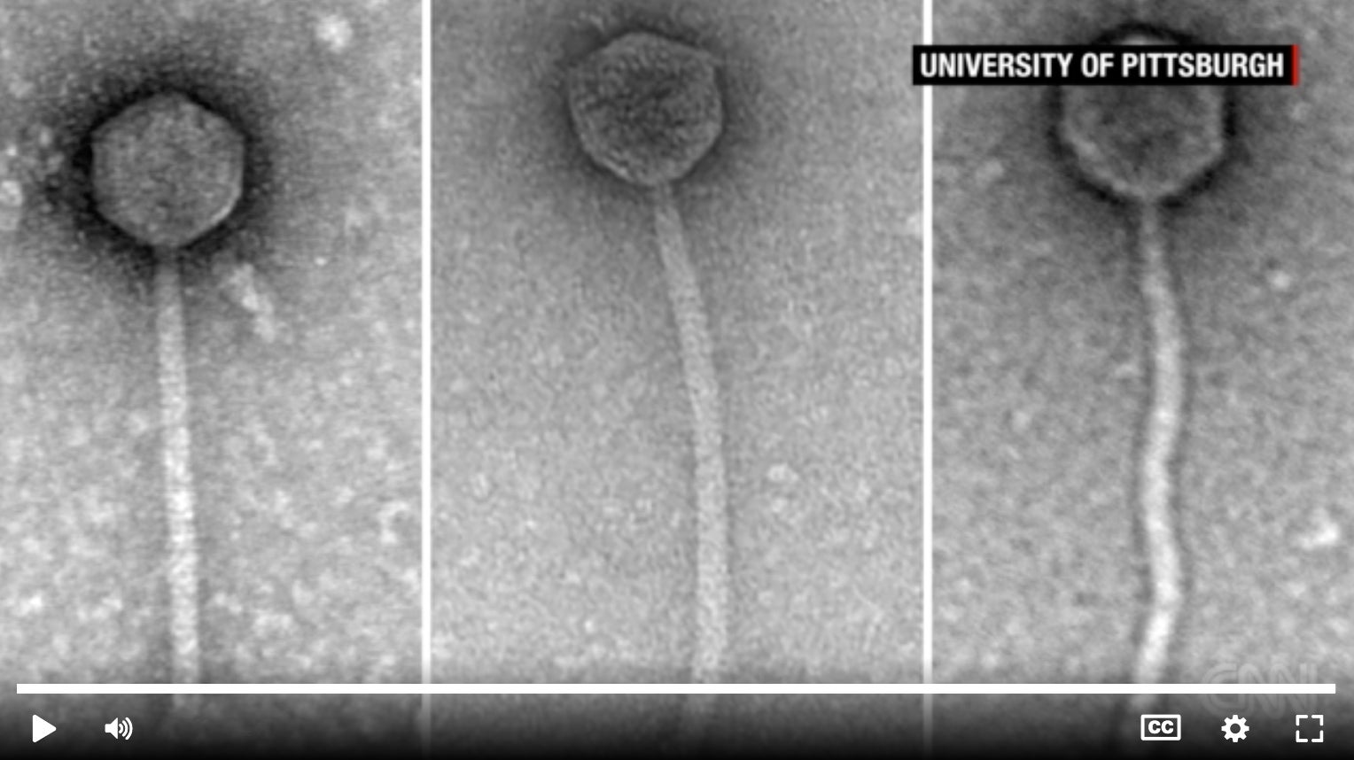 screen grab from CNN with three phages