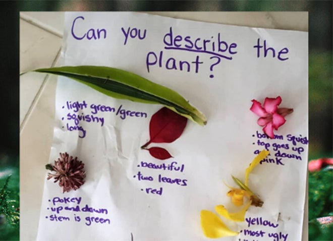 a sheet with different parts of plants that asks "Can you describe the plant?"