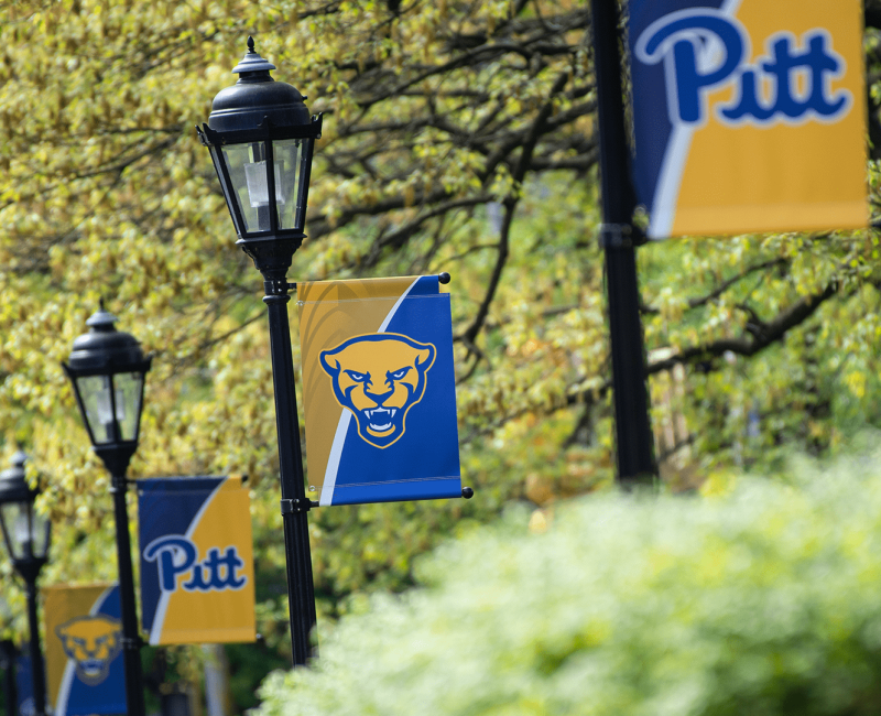 a row of street lights with blue and gold Pitt flags on them