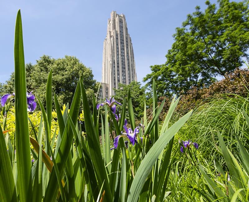 Cathedral of Learning behind trees and greenery
