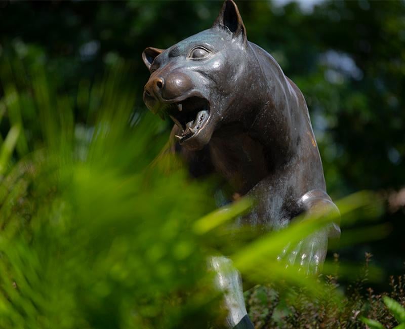 a panther statue peeking out from some green plants