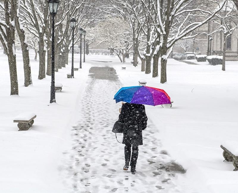 a person with a bright umbrella walking through snow