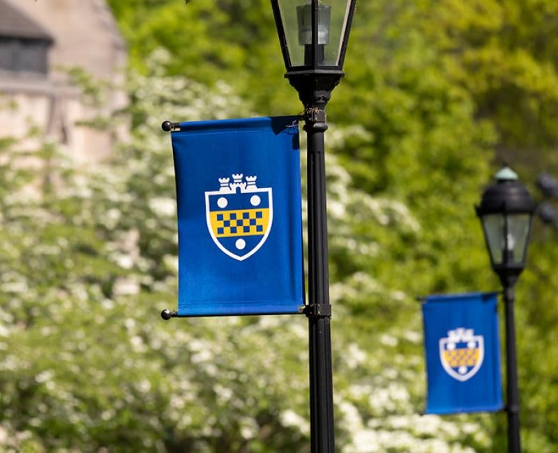 Blue flags with the Pitt shield emblem