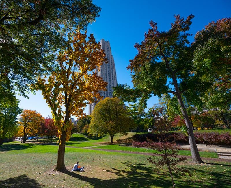 A person sits on a lawn under fall trees. The Cathedral of Learning is in the background.