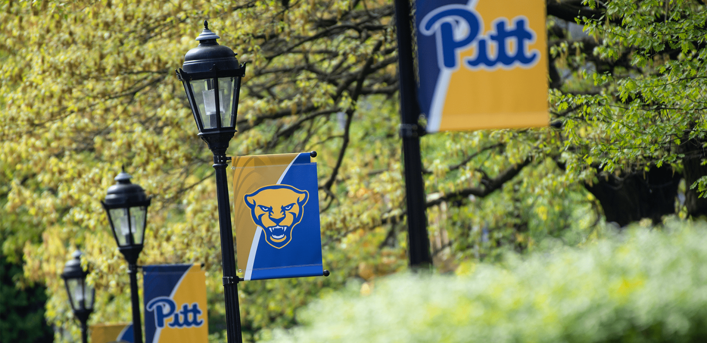 a row of street lights with blue and gold Pitt flags on them
