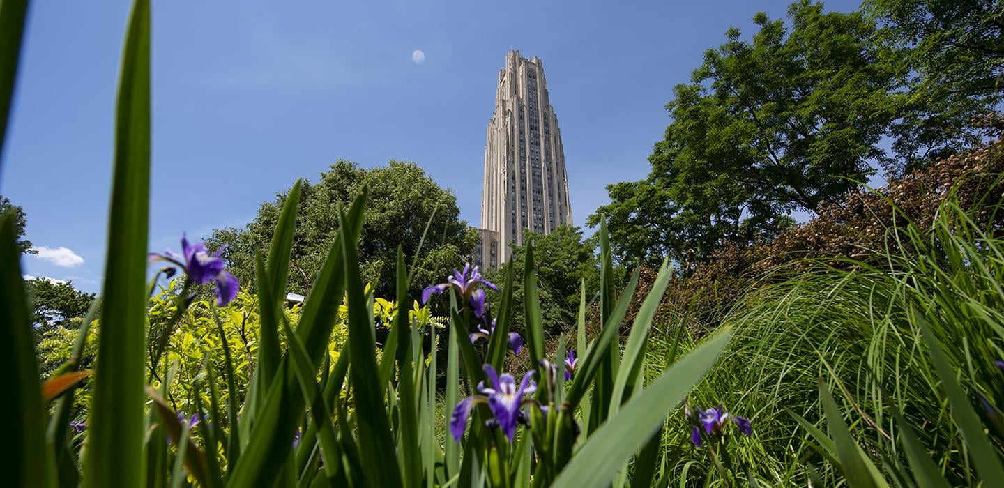 Cathedral of Learning behind trees and purple flowers