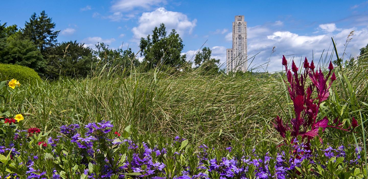 Colorful flowers and grass with Cathedral of Learning in background
