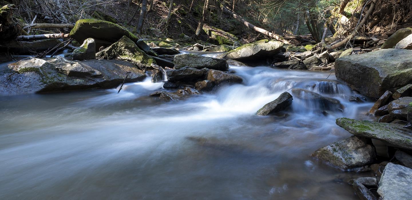 time lapse of a stream