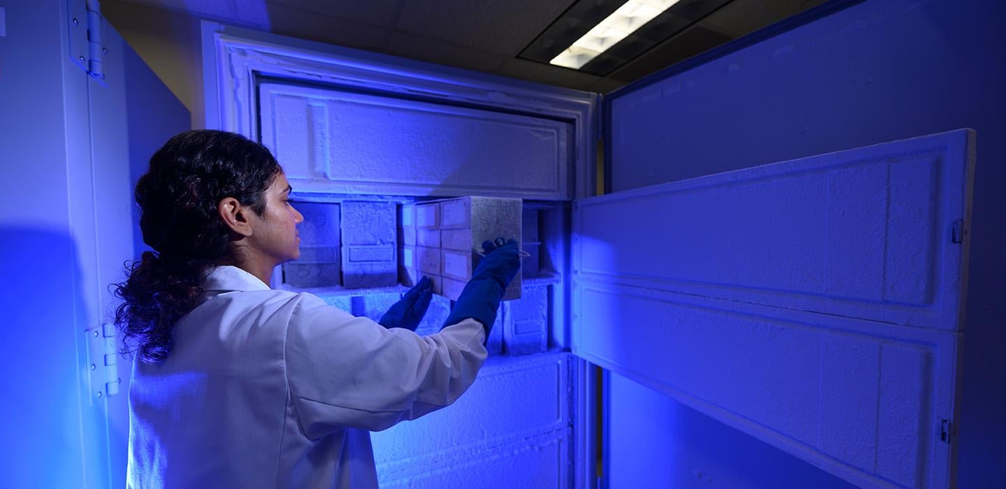A person in a white coat puts samples in a freezer