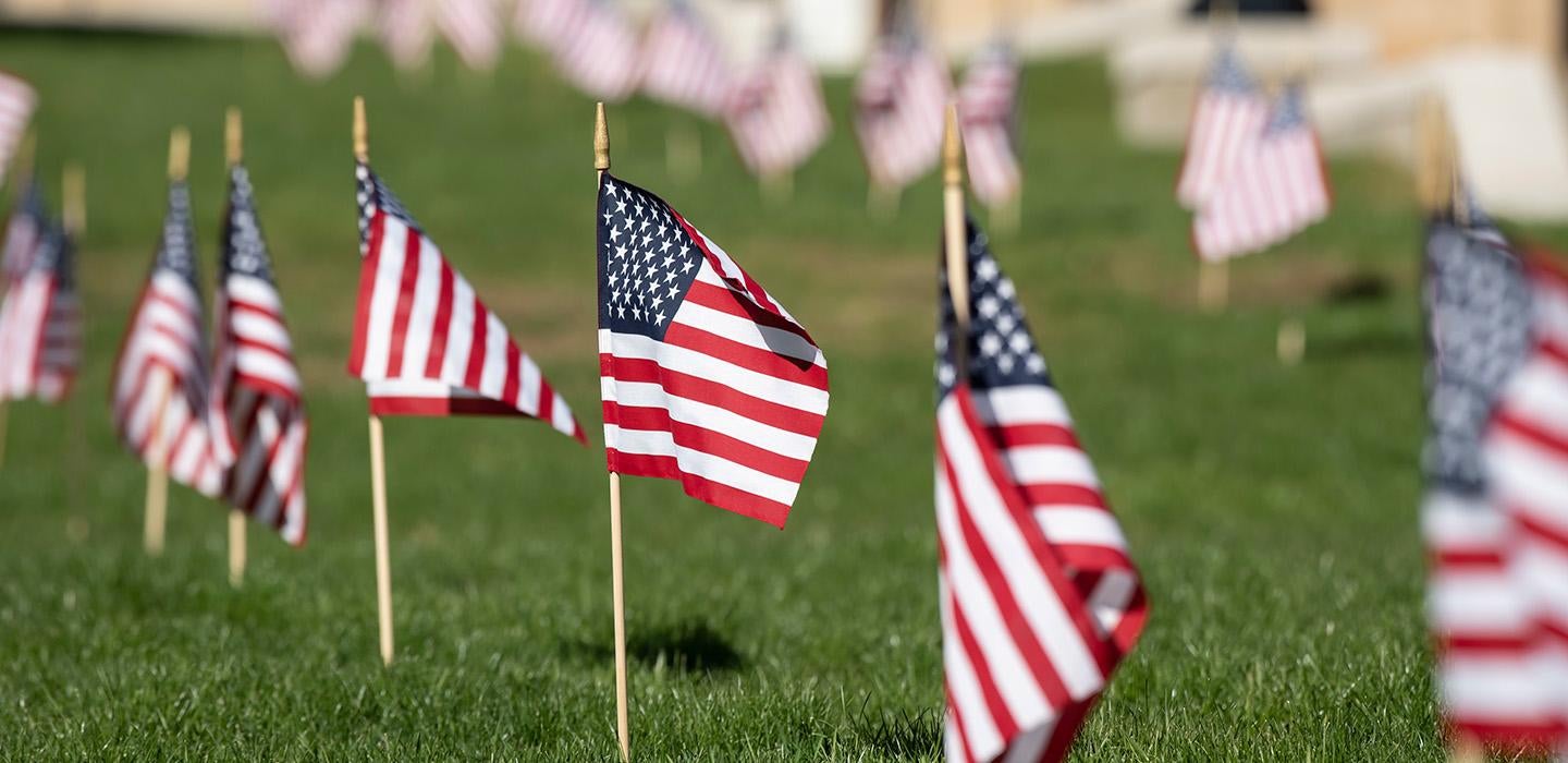 Rows of American flags in the grass