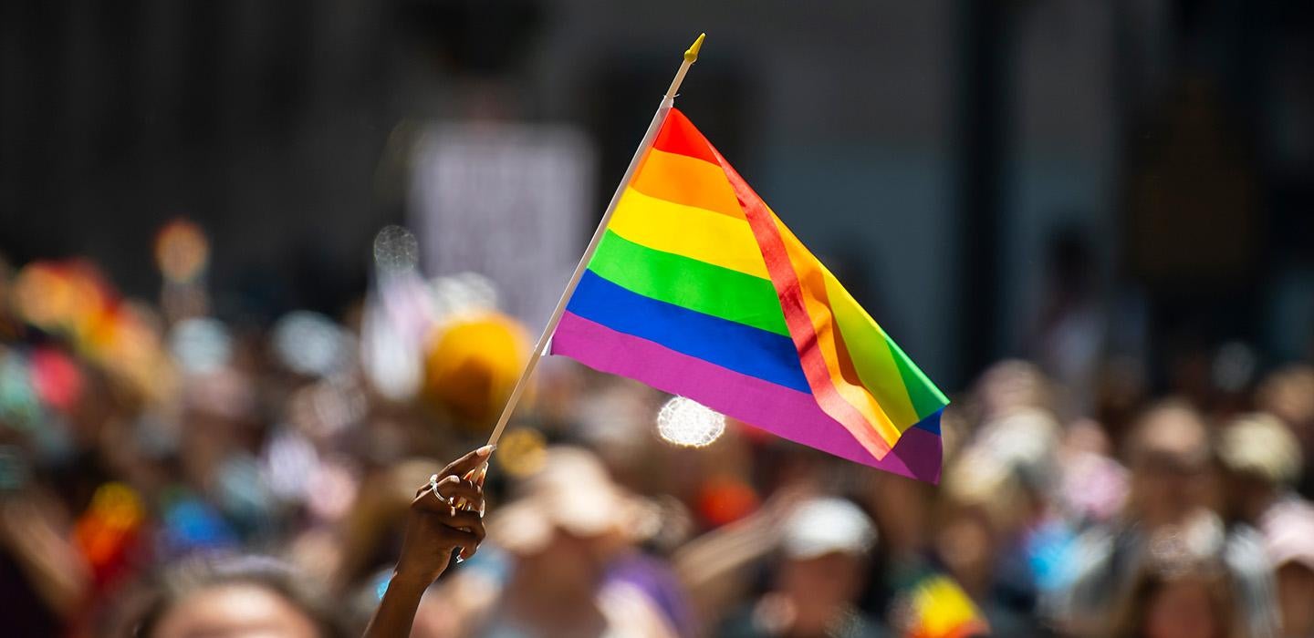 A pride flag held up from a crowd
