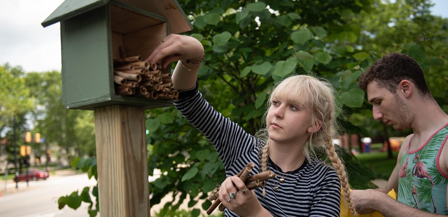 A person puts hollow sticks into a wooden pollinator house
