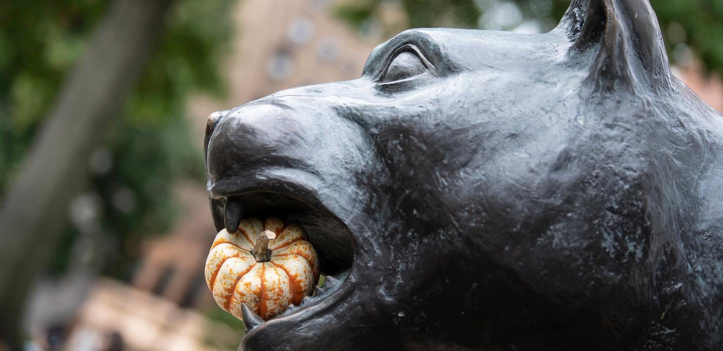 A panther statue holds a pumpkin in its mouth