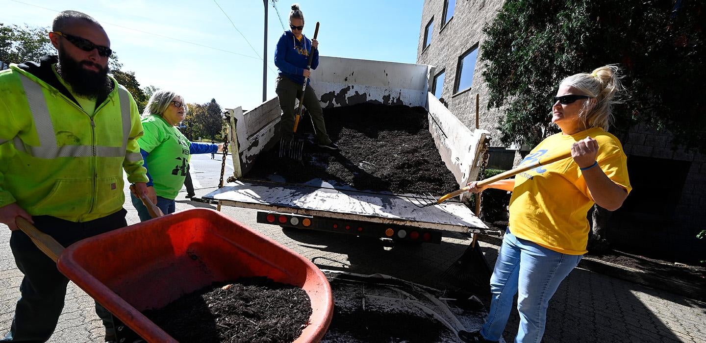 Volunteers shovel mulch from a truck bed into a wheelbarrow