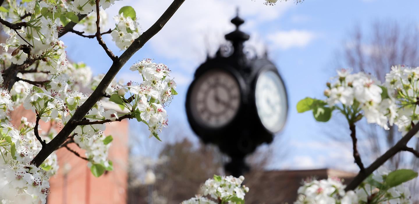 Small white flowers surround a black clock