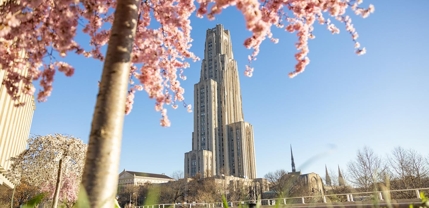 Cathedral of Learning with a blooming pink tree in the foreground