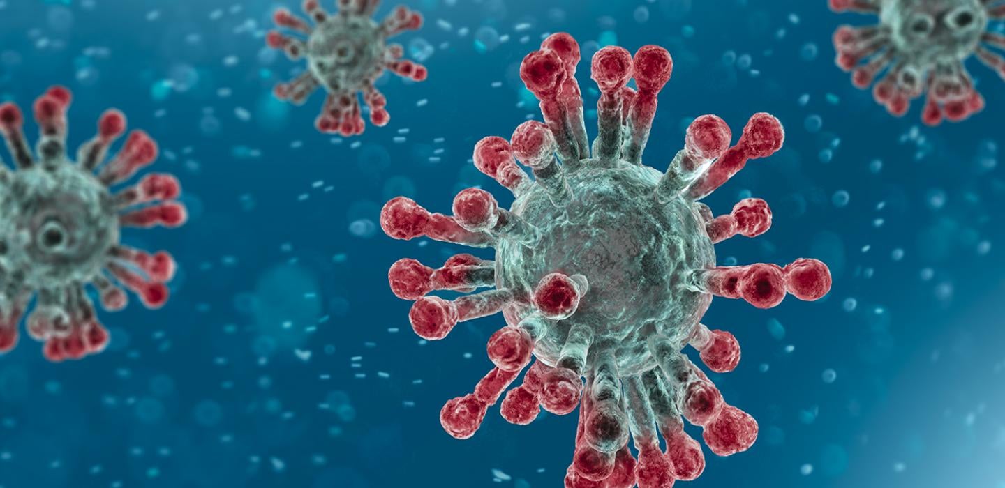 an illustration of the virus