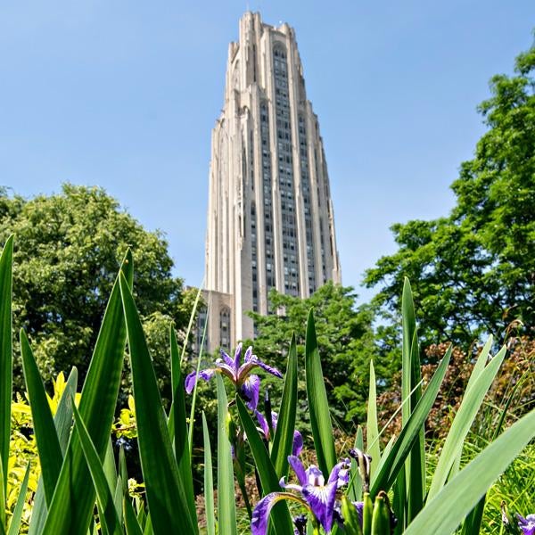 Pitt's Cathedral of Learning