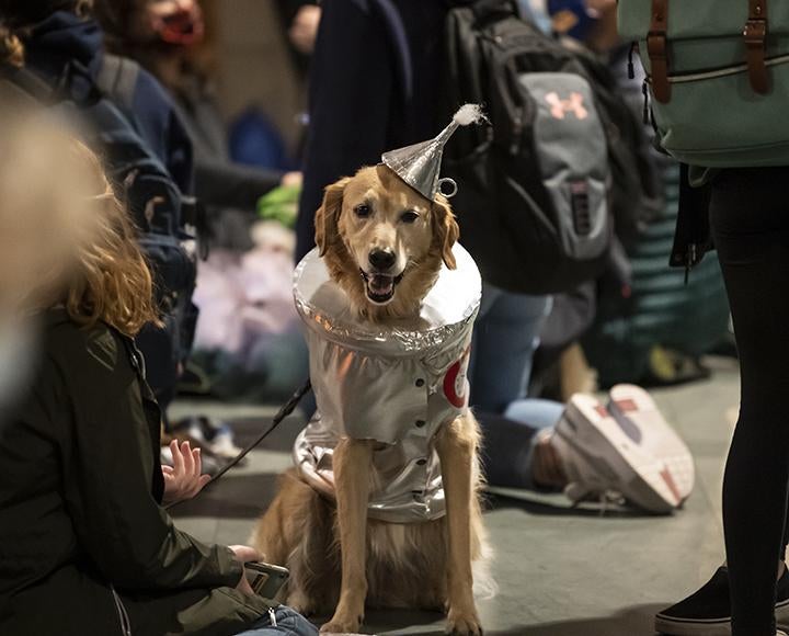 Golden retriever wearing tin man costume surrounded by people