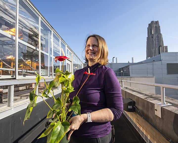 A person holds a plant with red flowers outside a rooftop greenhouse.