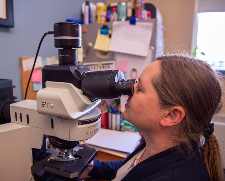 Kofler looks through the eyepiece of a microscope