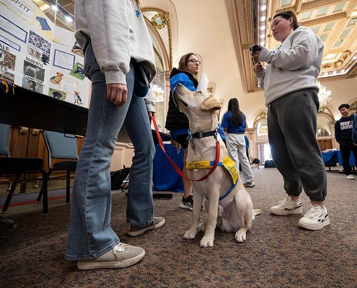 A dog looks up at its handler, who talks to a person in front of a trifold poster