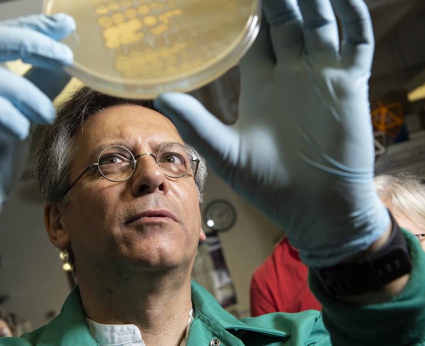 Graham Hatfull holding a Petri dish
