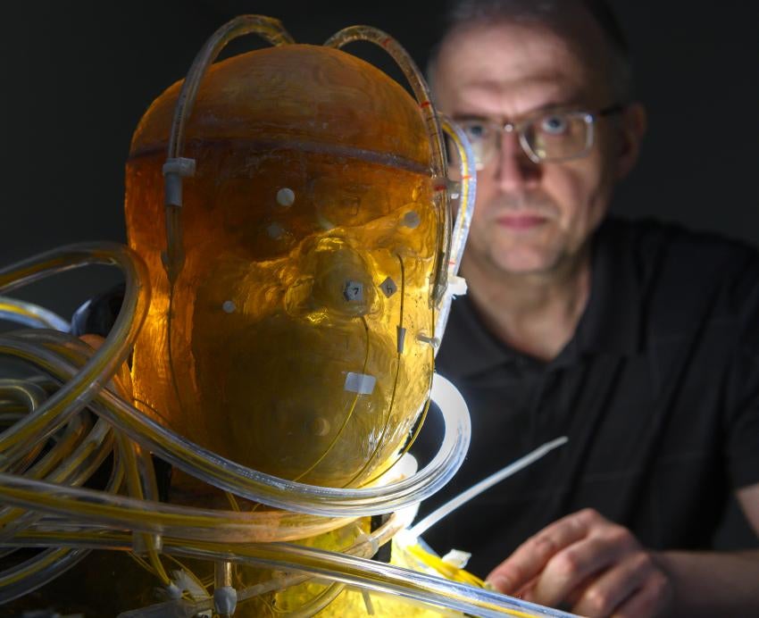 a yellow model of a head with tubes in and around it with a man in a black shirt in the background looking at it