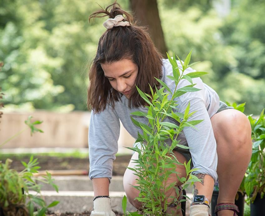 Student kneeling down, planting with gardening gloves 