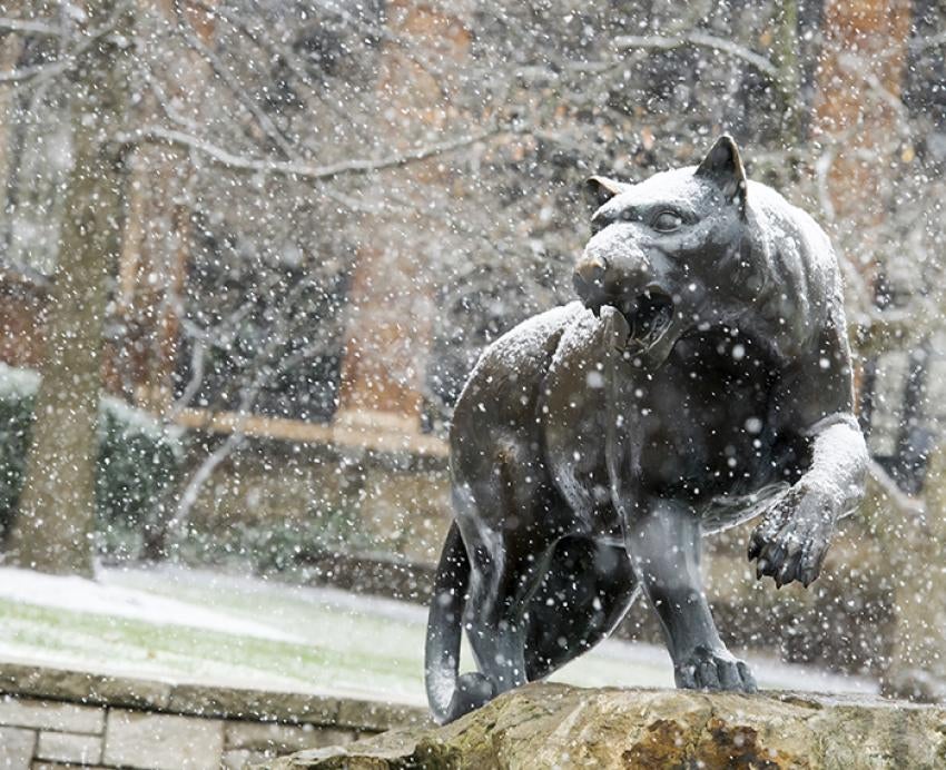 Panther statue covered in snow