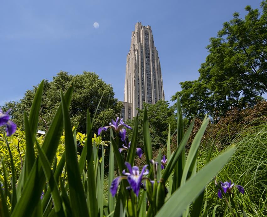 Cathedral of Learning behind trees and purple flowers